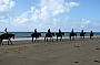 Cape Trib Horse Rides (8am)