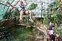 Hi ZOOM at Cairns ZOOM and Wildlife dome. 