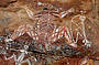 Aboriginal Rock Art