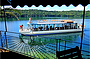 Lake Barrine Cruise 