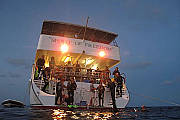 4 Day Coral Sea Dive Trip - Ocean View Deluxe